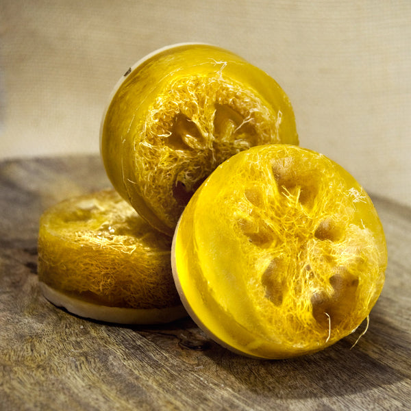 Luffa Soap Sunflower