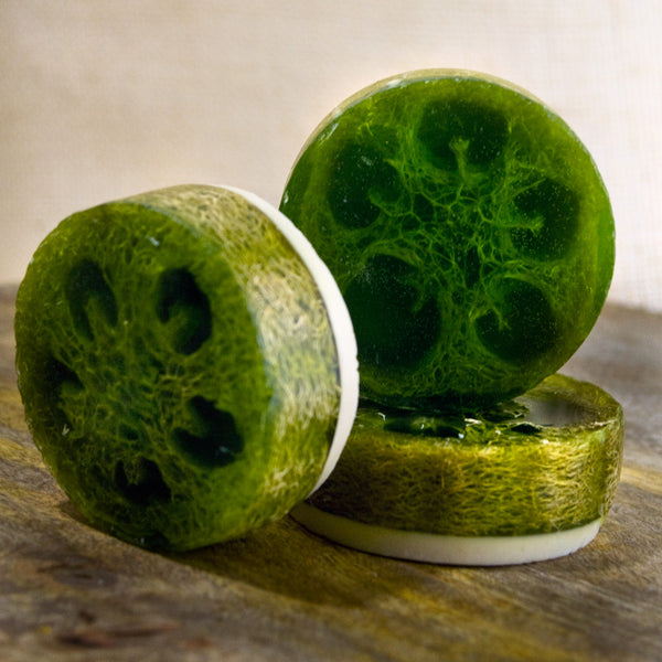 Luffa Soap Avocado Cilantro