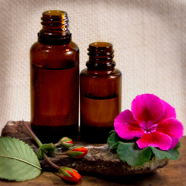 Essential Oil - Geranium